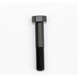 Short Head Screw L65mm SM