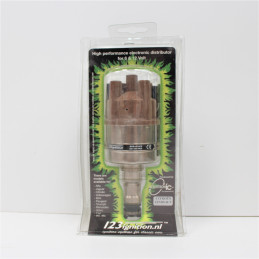 Electronic Igniter DS-R-V...